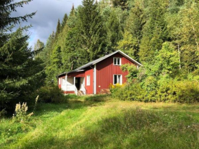 Little Forest House 